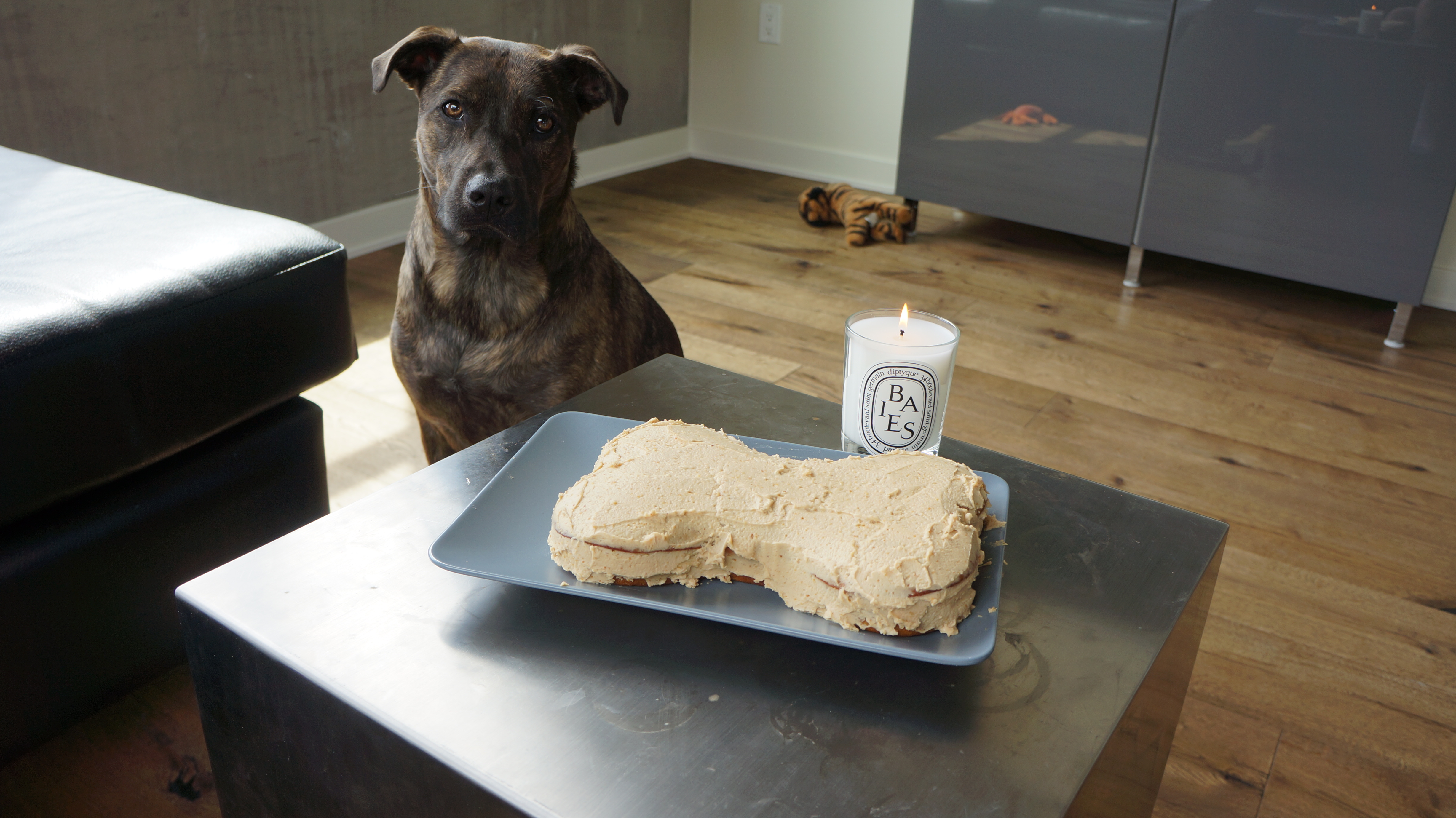 Sundays for Dogs' Dog Food Review: Rocky Kanaka's Experience With This  Air-Dried Raw Dog Food - Rocky Kanaka